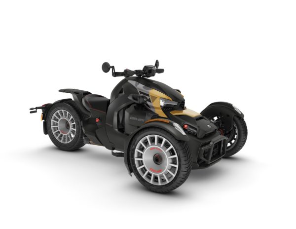 RYKER RALLY 900 - 2024 – Image 6