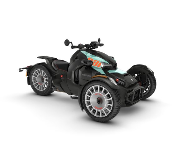 RYKER RALLY 900 - 2024 – Image 10