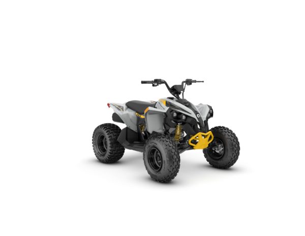 RENEGADE STD 110 EFI - 2023