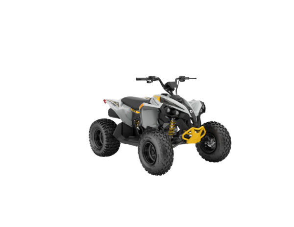 RENEGADE STD 110 EFI - 2024