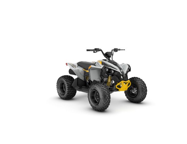 RENEGADE EFI 110 -2025