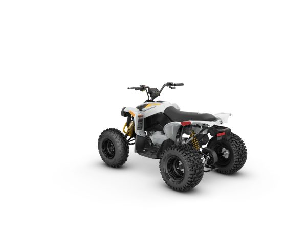 RENEGADE EFI 110 -2025 – Image 3